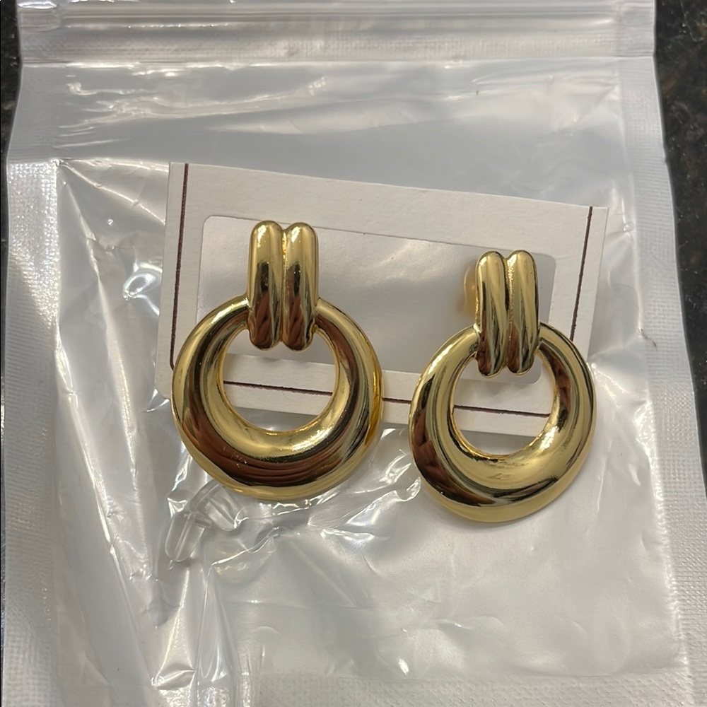 Elegant Gold Hoop Earrings